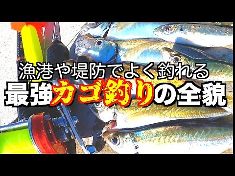 なんでも釣れる遠投カゴ釣りの最強仕掛け、釣り方まとめ【実釣編】