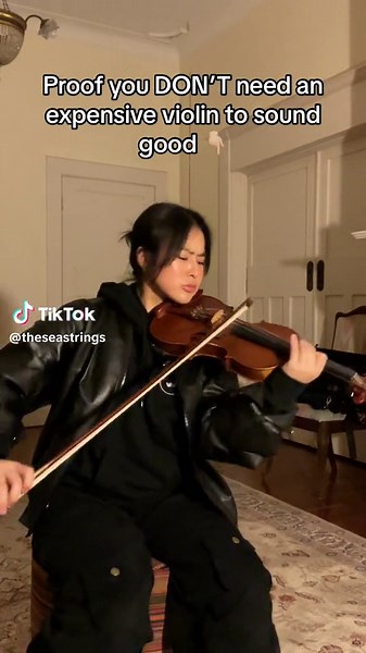 Don’t let the price hold you back! Clothes are from @aelfricedenofficial 🔥 note: $400 in the violin world is EXTREMELY cheap… ~ #violin #violinist #classicalmusic #classicalmusician #classicalmusicians #classical #musicians #trend #dansemacabre #trending #viralvideo