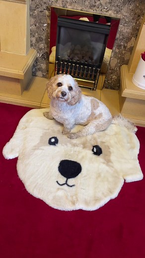 Discover the Best Dog Must-Haves at Dunelm Featuring Cavachon and Cockapoo!