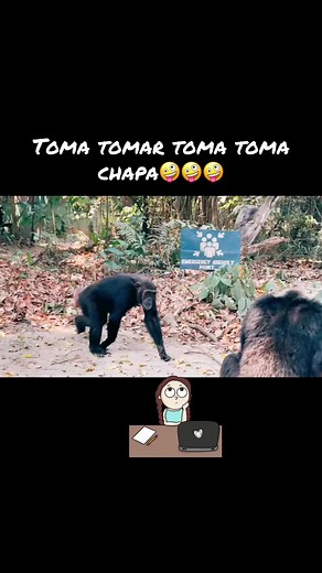 #fypシ゚vira toma toma toma chapa toma toma#LIVE
