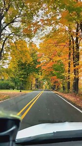 Amazing fall colors!