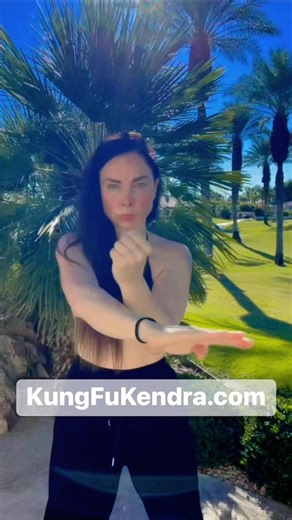 6.1K views · 256 reactions | ⚔️ Wing Chun Attack and Defence.  Get your FREE Sil Lim Tao PDF: KungFuKendra.com/PDF | Kung Fu Kendra | Facebook