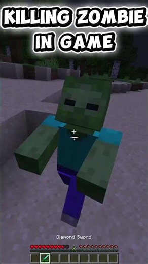 Real life Minecraft vs game