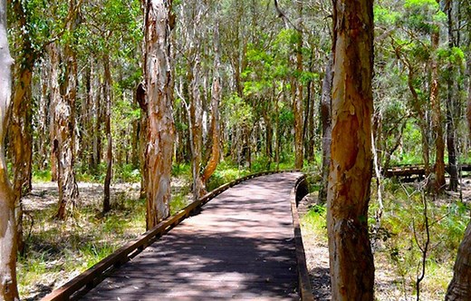 Coombabah Lakelands Conservation Area