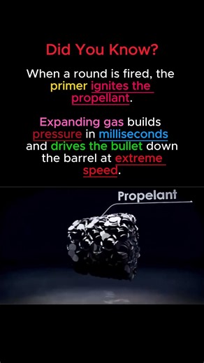 What Happens Inside a Bullet in a Split Second? 💥 #shorts #science #engineering
