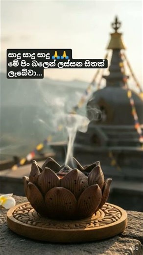 Beautiful mind 💕 #calmheart #calmmind #peacefulmind #සන්සුන් හදවත්