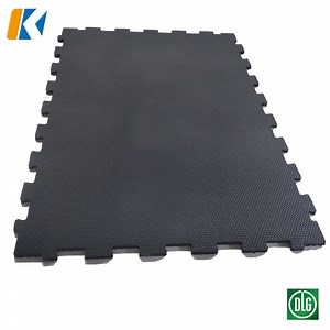 [Hot Item] Livestock Stall Rubber Mat Cow Cattle Horse Mattress