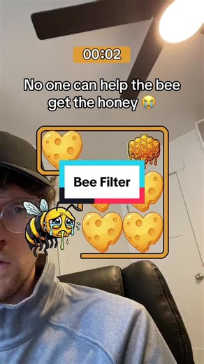 Struggling with the Bee Filter Challenge