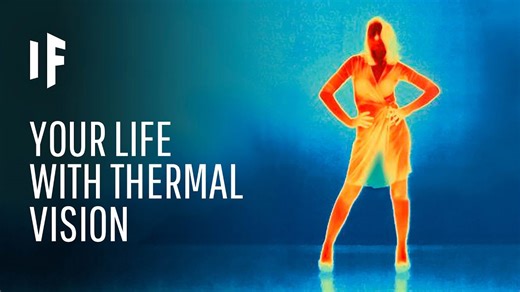 What could humans do if we had thermal vision?