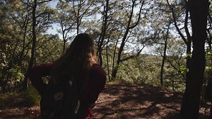 Woman walking through trees - Free Stock Video