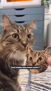 2.1K views · 22 reactions | Which of your loved ones’ faces would you...