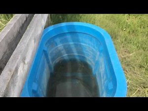 How To Clean A Water Trough