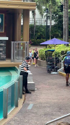 1.1M views · 10K reactions | Countdown!…..or not!  #peekaboo #memes #funnymemes | Sheramae Joyce Valera | Facebook