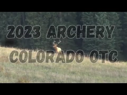 2023 Archery Colorado OTC Elk Hunt