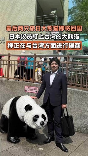日议员提议去台湾换大熊猫