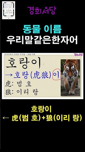 Animal Names of Chinese Characters That Sound Like Korean - Tiger #KyungheeSeodang #UsefulChinese...