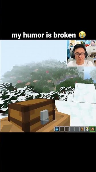 Minecraft Humor Moment