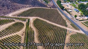 Looking to run a boutique winery? If you build it they will come! This 10-acre property already has mature vines that produce over 27 tons of grapes and its situated on the famous Temecula Valley Wine Trail! www.YourFutureWinery.com | The Auer Team