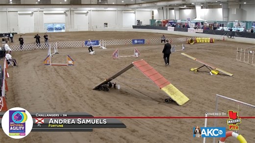 23K views · 263 reactions | Don't miss our live coverage of the 2025 AKC National Agility Championship, this weekend, March 14th-16th! | AKCtv | Facebook