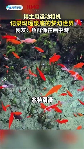 Dreamworld of Mayu Spring: Koi Fish in a Movie-like Scene