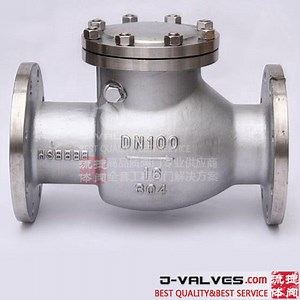 [Hot Item] DIN 304 316 Stainless Steel Check Valve