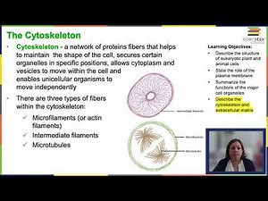 OpenStax Concepts of Biology Chapter 3.3 Part 1