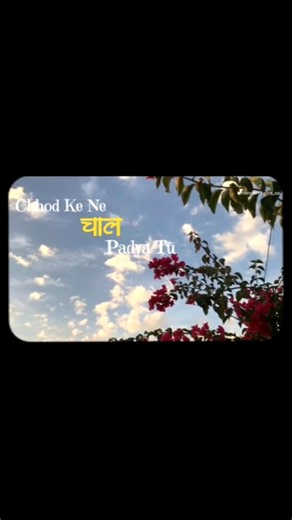 Barsaat.... ✨🌷🦢| Aesthetic lyrical video | #shorts #song #youtubeshorts #bairan
