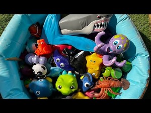Ocean Animals for Kids: Learn Names and Fun Facts with Sea Creature Toys