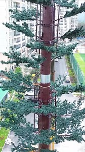 1.4K views | Amazing future technology | Jalise & Justine Williams | Facebook