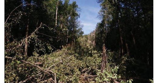 More details emerge about crashed F-35 plane