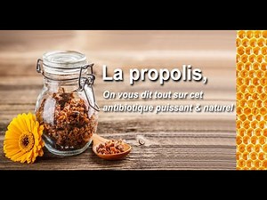 Qu'est-ce que la propolis ? Comment l'utiliser ?