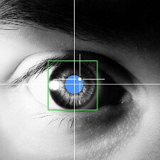 The Eye Tribe brings eye control to Android, opens it to developers in June