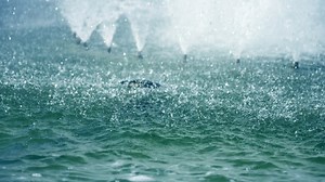 Fountain, Source, Splash. Free Stock Video