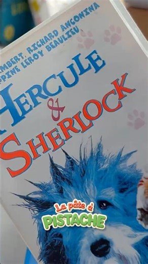 Le PIRE film de Christophe Lambert ? 🐶 #cinema