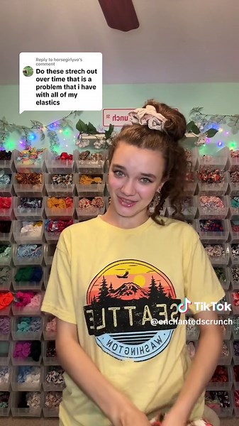 Enchanted Scrunch by Dasha on TikTok