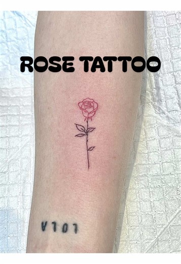 Stunning Rose Tattoo Ideas from Seoul Tattoo Artist