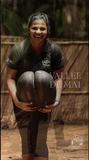 Journey Through Vallée de Mai | Seychelles | UNESCO Palm Paradise