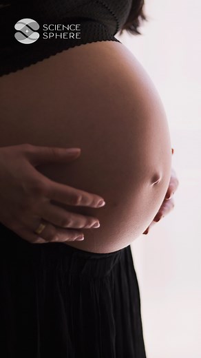 907K views · 10K reactions | How pregnancy affects a woman's brain! | Science Sphere | Facebook