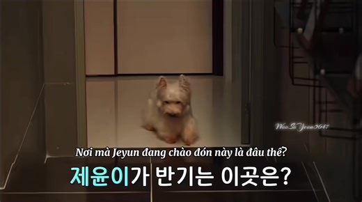 Bts ep4 Friendly Rivalry #chungsubin #wooseulgi #leehyeri #yoojaeyi #friendlyrivalry