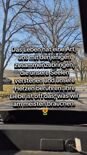 Das Leben hat eine Art, uns mit denjenigen zusammenzubringen, die unsere Seelen verstehen und unsere Herzen berühren. Ihre Liebe ist oft das, was wir am meisten brauchen.“ 🌻