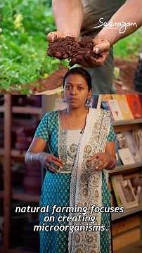 Permaculture, Biodynamic, Natural, Organic farming - what is the difference?