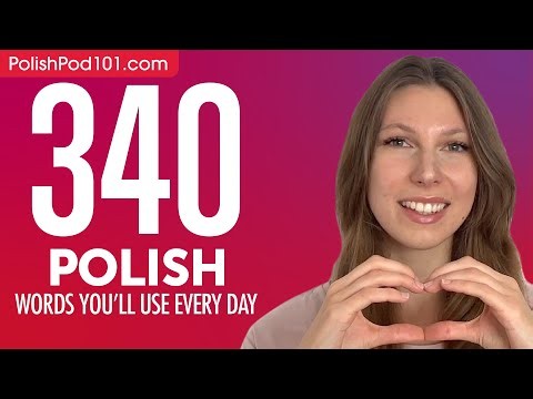 340 Polish Words You'll Use Every Day - Basic Vocabulary #74