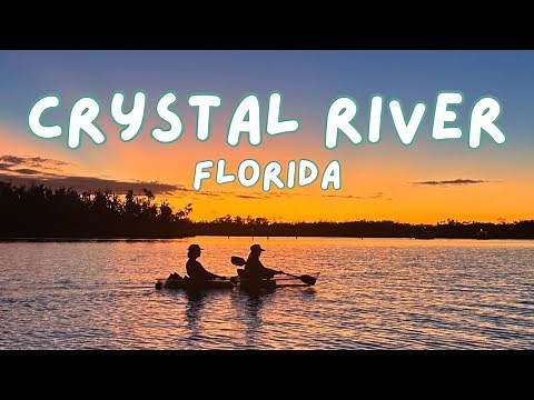 CRYSTAL RIVER, FLORIDA 🌴🐊 Swimming w/ Manatee, Three Sisters Springs, Glow Kayaking, & Hiking!