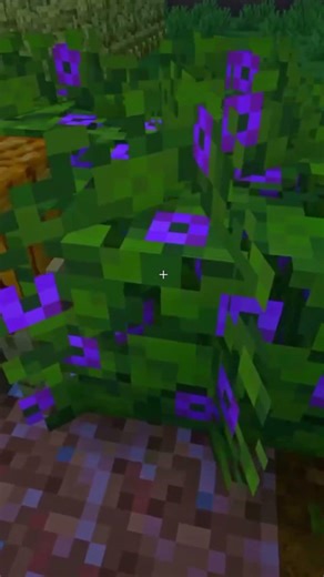 prank with your friends in Minecraft