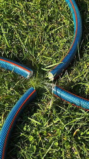 915K views · 3.4K reactions | Gardening Made Easy with this 4 pipes hack! ⛲️ | 5-Minute Crafts GIRLY | Facebook