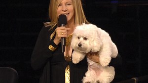 Barbra Streisand Cloned Her Beloved Dog