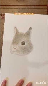 【うさぎさんイラスト 色鉛筆 メイキング】#drawing #イラスト#うさぎ #イラストメイキング #動物イラスト #色鉛筆 #アナログイラスト #illustration #絵 #メイキング