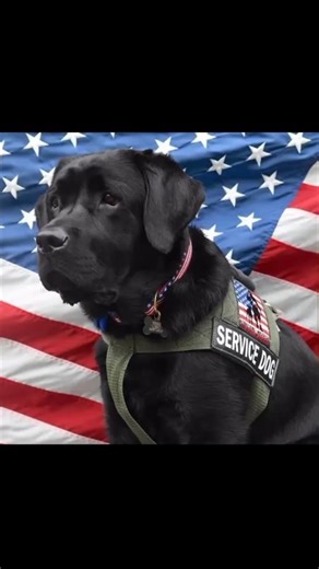 James C McConville on TikTok