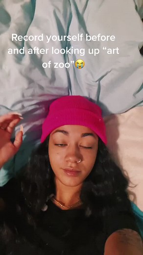 Exploring Art of Zoo Content on TikTok