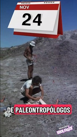 "Lucy" 51 años Australopithecus afarensis . #sabiasque #curiosidades #documental